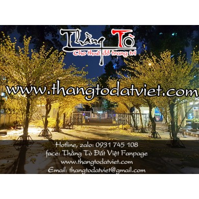 Cho thuê cây mai giả cao 4m5